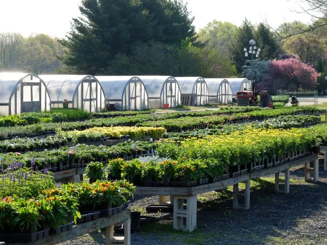 Levari Farm Market & Greenhouses