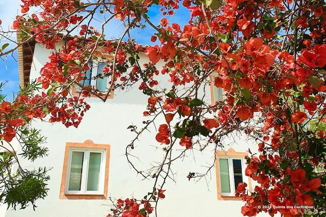 Quinta dos Cochichos