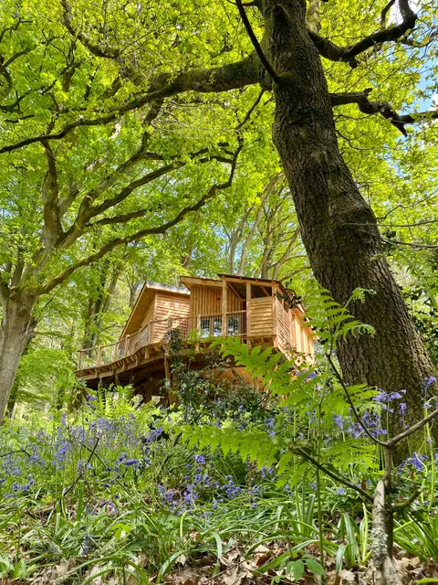 Tree House Retreats