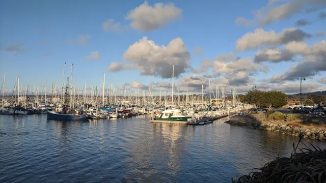 Monterey Harbor
