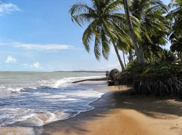 Receptivo Patacho Praia