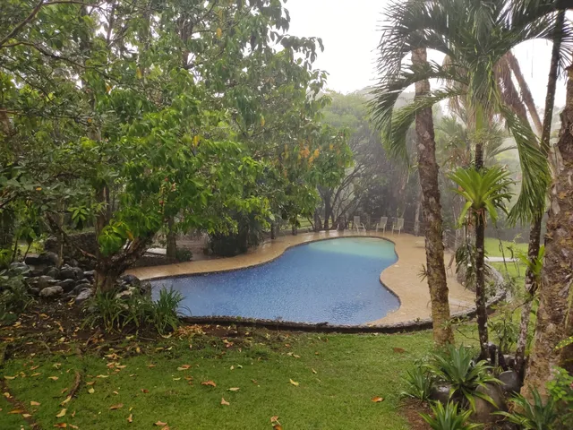 Kids Saving the Rainforest