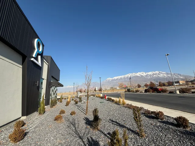 Escape Hour Vineyard