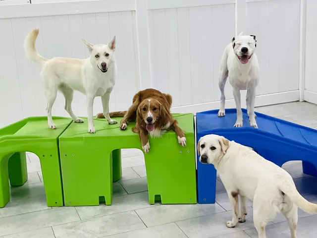 Hounds Town Milwaukee - Oak Creek