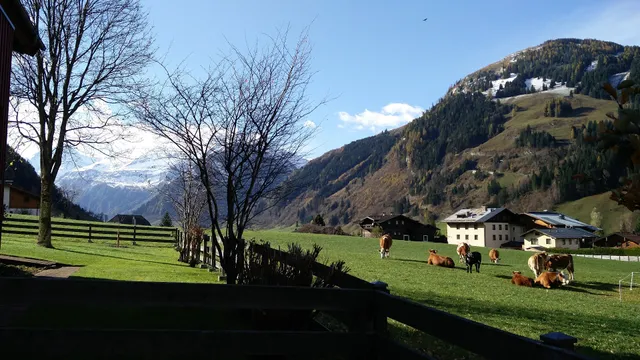 Appartement-Pension Fahrnberggut