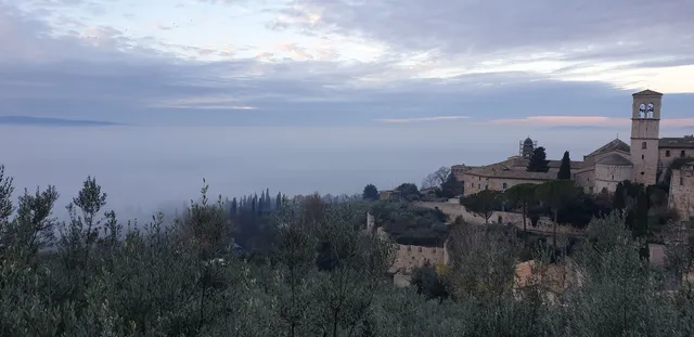 Bar Pettirossi Carlo