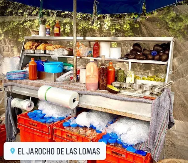 El Jarocho de las Lomas