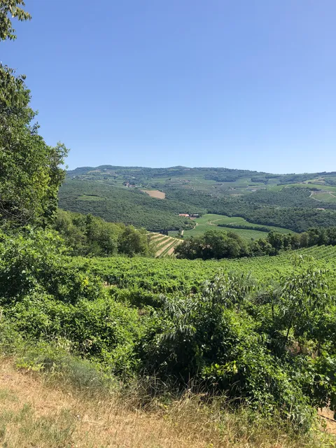 Punto Panoramico Strada che non C'è