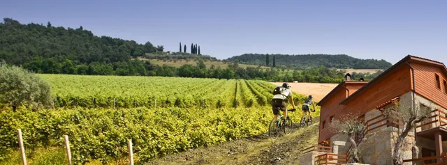 Moinhos do Pisão - Turismo Rural