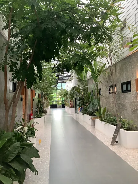 In box guesthouse Maesarinag อินบ๊อก เกสเฮ้าส์ แม่สะเรียง