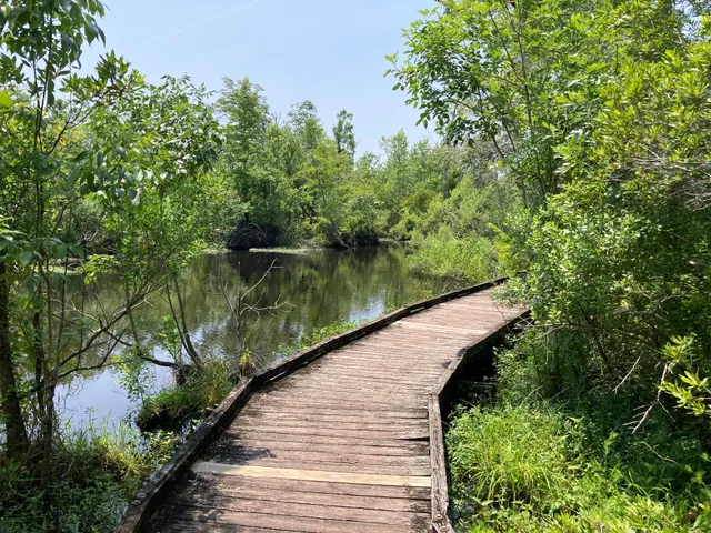 Pocosin Lakes National Wildlife Refuge