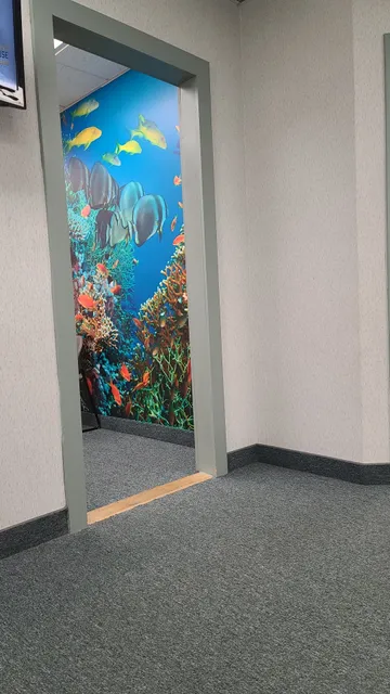 University Otolaryngology