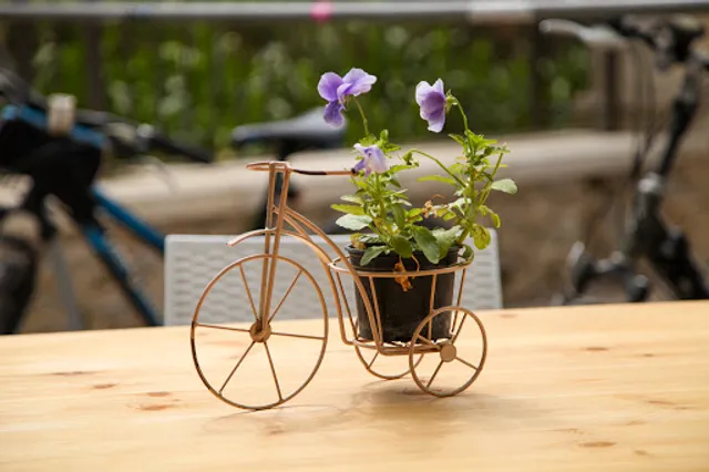 Bar Pizzeria LA BICICLETTA