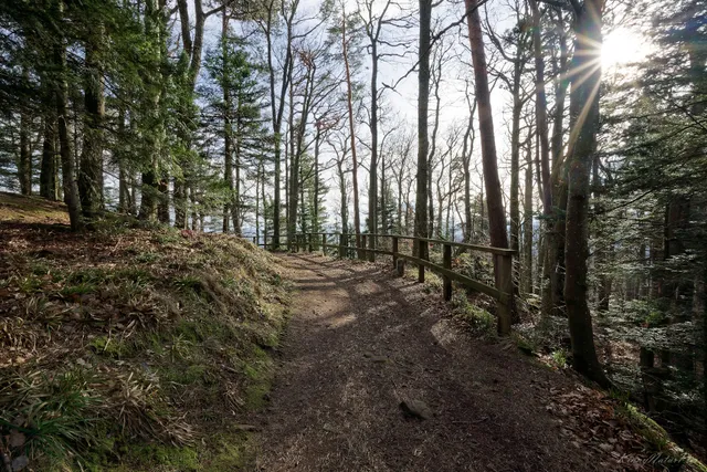Vestiges du chateau dit Nieder Koenigsbourg