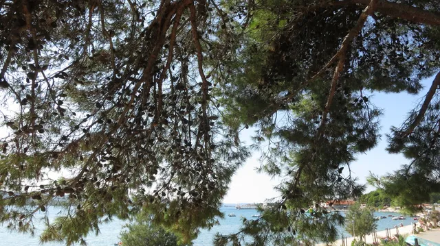 Villa Agatha Apartments - Sveti Filip I Jakov