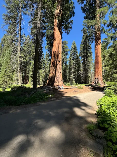 Big Trees Trailhead