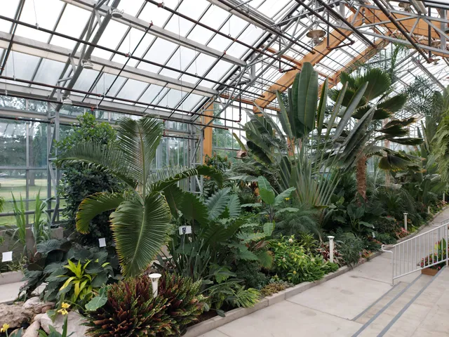 Gage Park Tropical Greenhouse