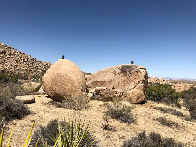 Sand to Snow: Black Lava Butte and Flat Top Mesa