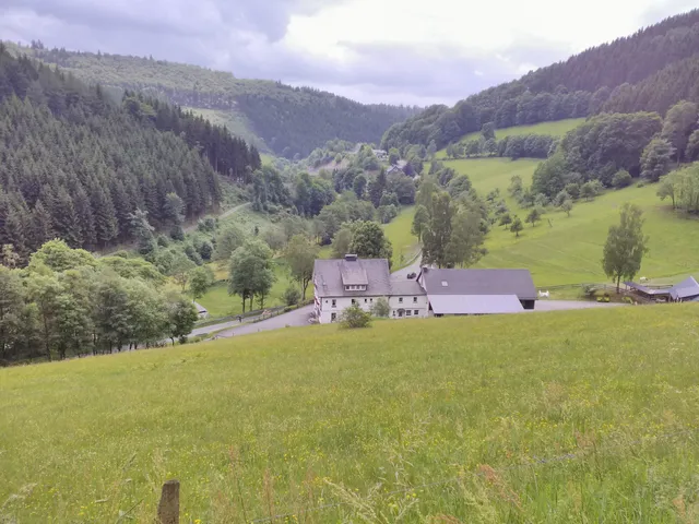 Stefan Schütte-Mühle