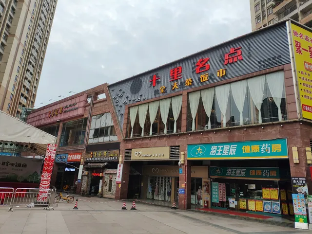 Landscape Xi Family Banquet Pujun No.5