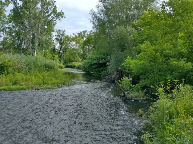 John B. Staalesen Vanderheyden Preserve