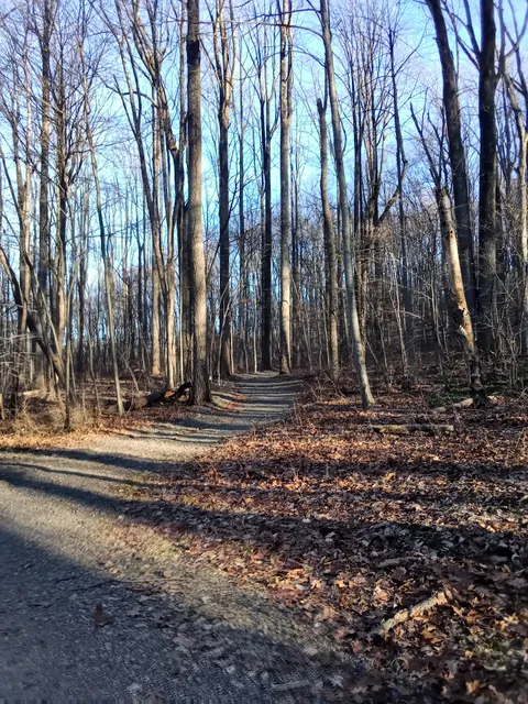 Lewis Morris Park Trail Parking Lot