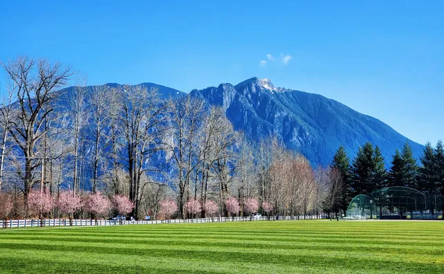 Centennial Fields Park