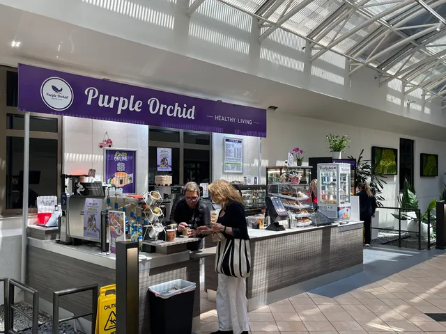 Purple Orchid Baptist Kendall