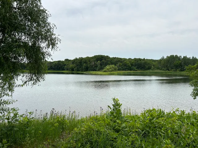 Sunnyside Picnic Area, Hyland Lake Park Reserve