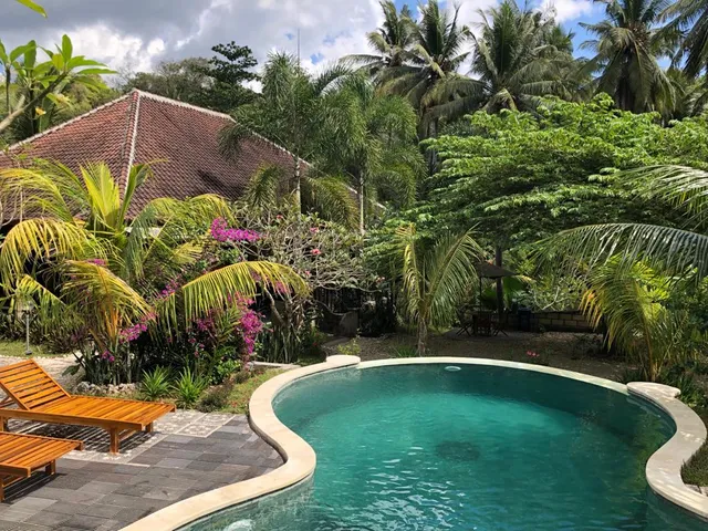 Tarzan Marriott On Penida