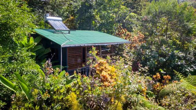 Tiskita Jungle Lodge