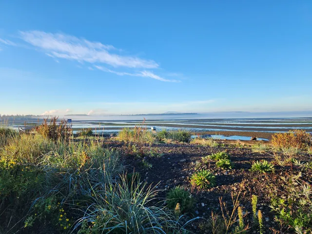 Birch Bay Beach Access North Entrance