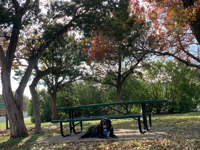 Buttercup Creek Park