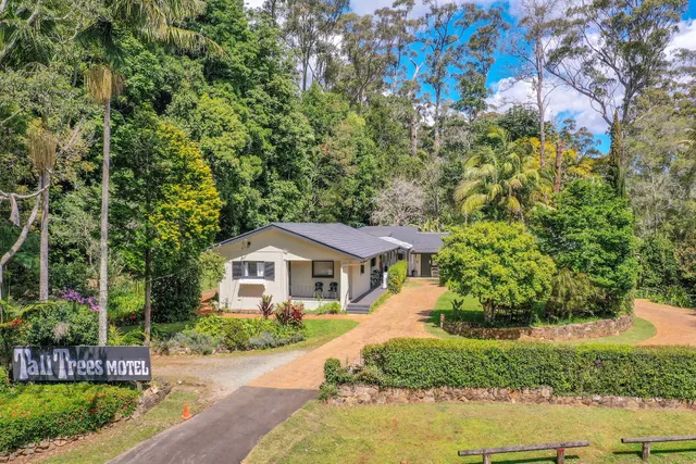 Tall Trees Motel Mountain Retreat