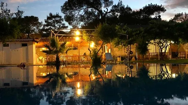 DON KİŞOT PANSİYON