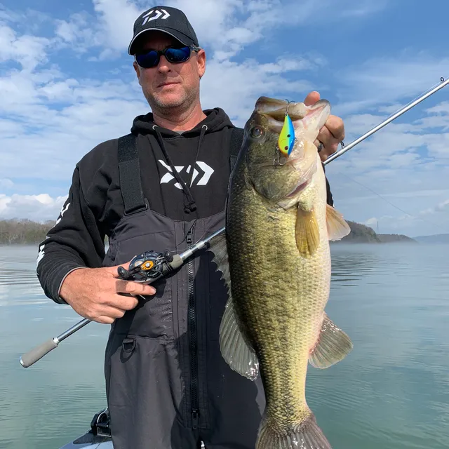 TIm Chandler's Lake Guntersville Guide Service