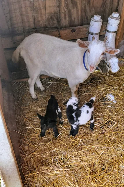 The Sandy Ridge Farm