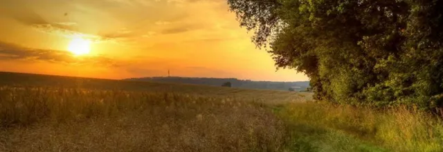 Ferienwohnung Trenkle