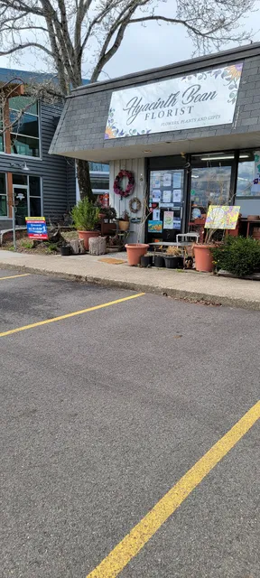 Hyacinth Bean Florist