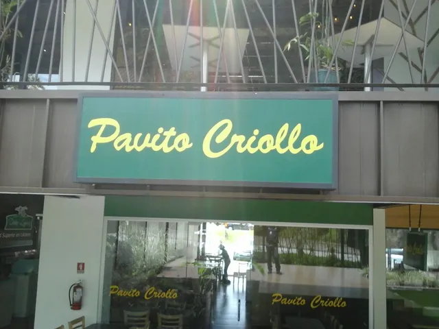 Pavito Criollo • CC Santa Rosa