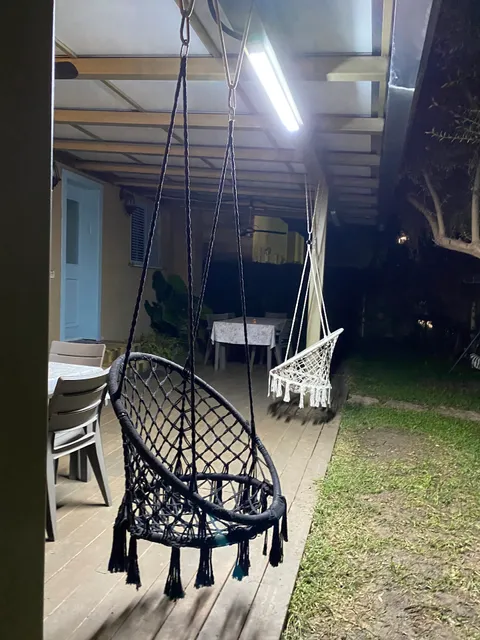 Olive - Israeli Zimmer