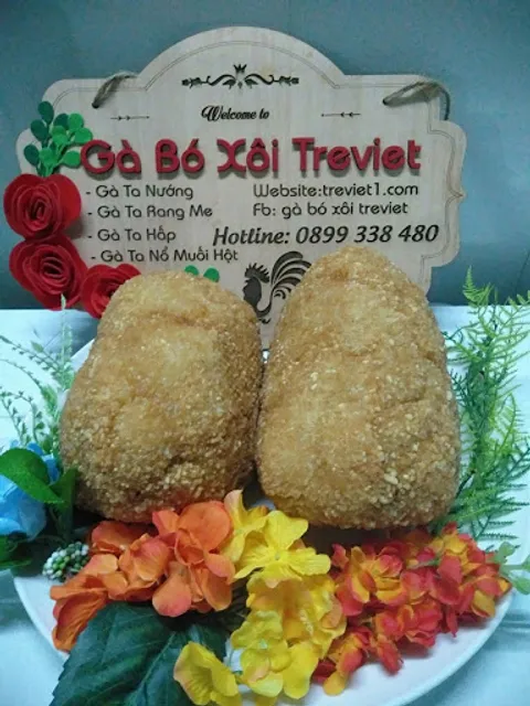 GÀ BÓ XÔI TREVIET
