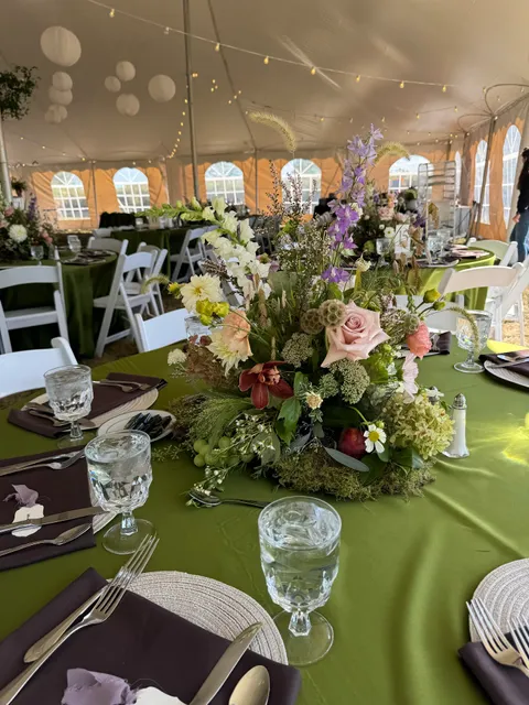 W R Hackett Fruit & Vegetables