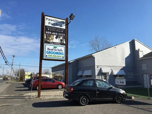 Pawsitively Purrfect