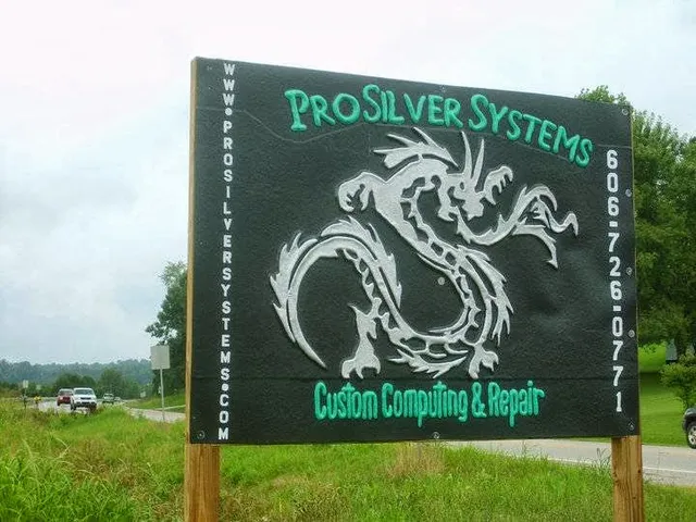 Pro Silver Systems