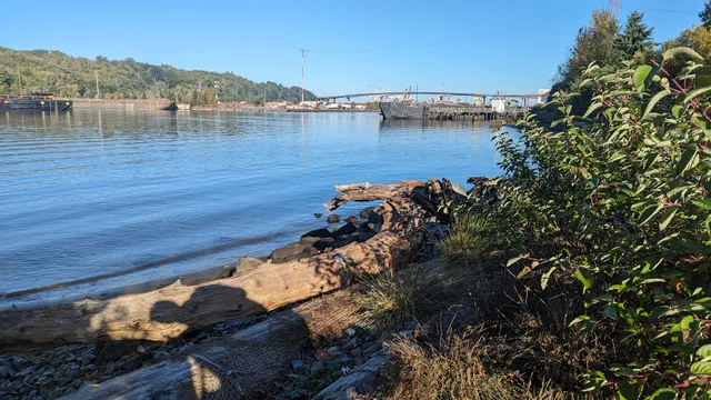 sbəq̓ʷaʔ (sbaqwah) Diagonal Ave Park and Shoreline Habitat