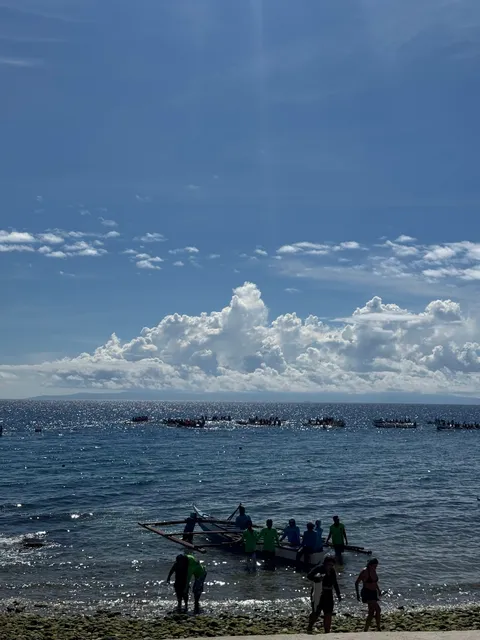 Oslob Whale Shark Bus Stop