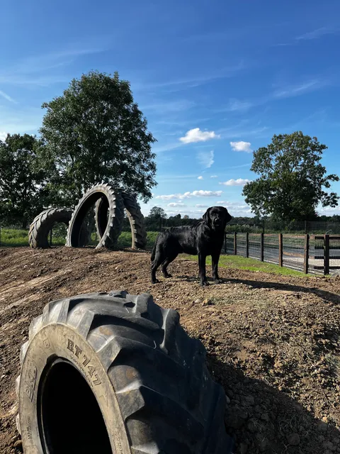 Park Wood Dog Activity Centre Ltd