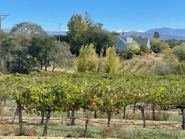 Mazzocco Sonoma Winery