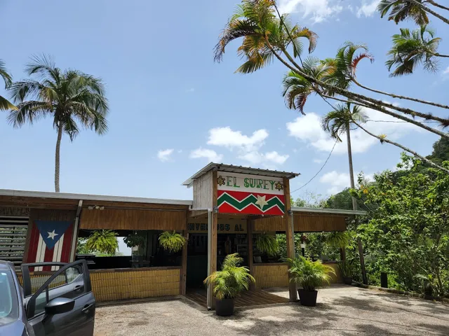 Chinchorro the surey